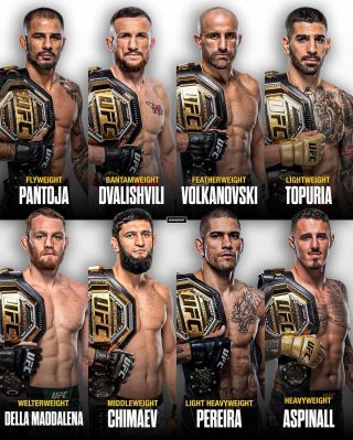 Aktuální šampioni všech mužských divizí v UFC 💪 #ufc #fight #warriors #champ #thebest